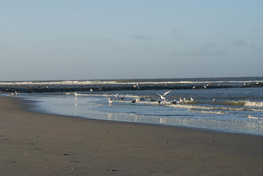 De Herbergh van Flielant Vlieland Exterior foto